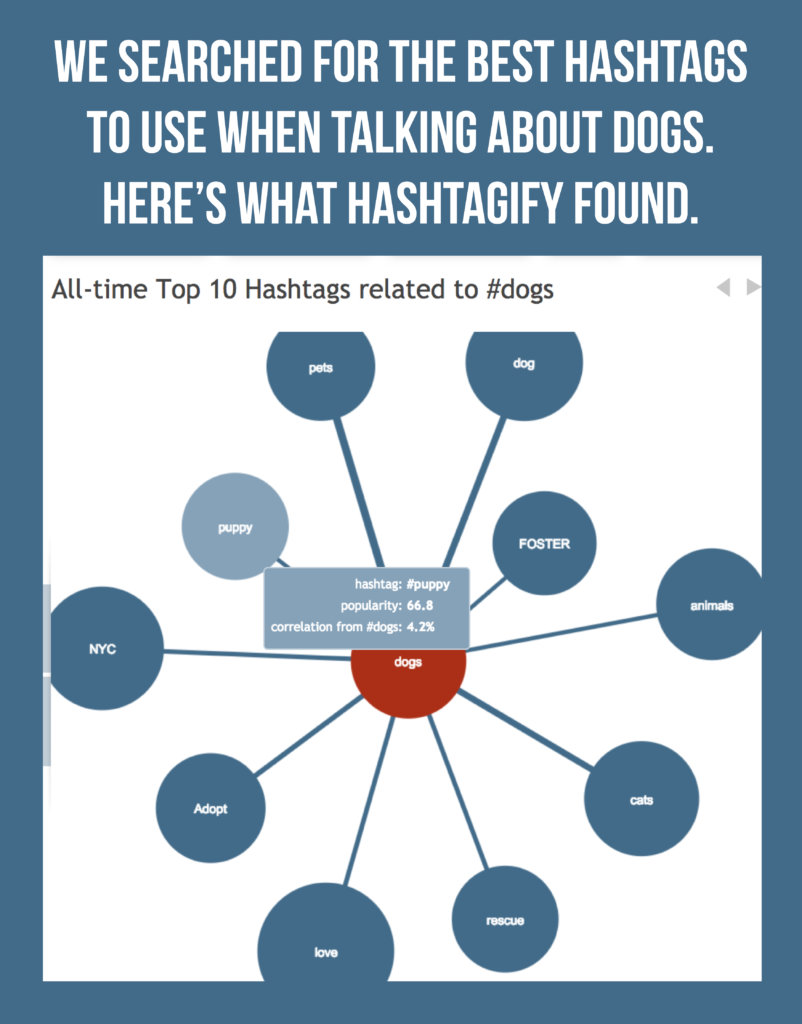 Graphic of the top 10 hashtags related to dogs. Screenshot generated by Hashtagify. 